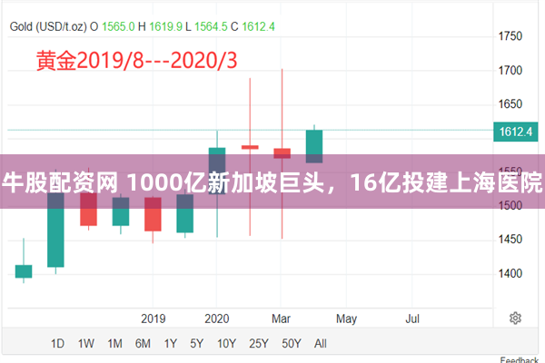 牛股配资网 1000亿新加坡巨头，16亿投建上海医院